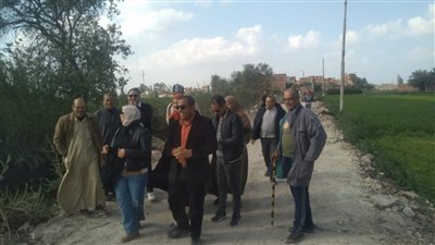 تنفيذ أعمال الخطة المتكاملة لزراعة أعمدة كهرباء في المنصورة 