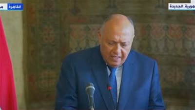 وزير الخارجية يشيد برد الفاتيكان قطع أثرية لمصر.. ويوجه الدعوة لباقي الدول