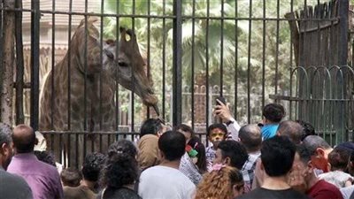 توضيح جديد من 