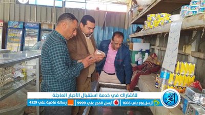 صحة الإسماعيلية تضبط سيارة تبيع أغذية مجهولة المصدر