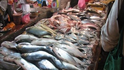 أسعار الأسماك في سوق العبور اليوم الخميس 5 يناير 