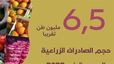 بعد تسجيلها ارقاما قياسية..ما هي أكثر المنتجات الزراعية تصديرا فى مصر خلال 2022؟