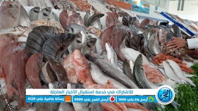 بالتزامن مع إجازة أعياد الميلاد.. أسعار الأسماك في سوق العبور اليوم الأحد 8 يناير