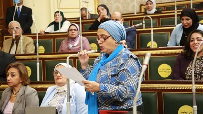 لهذا السبب.. برلمانية تطالب باستدعاء رئيس الوزراء ووزيري الزراعة والصناعة أمام النواب 