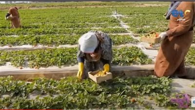 فلاحات وبطلات موسم 