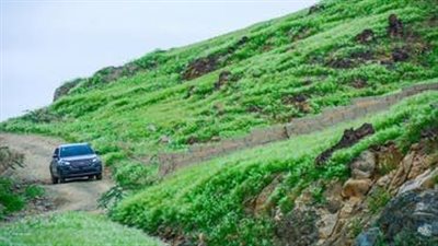 كيف تحولت جبال مكة المكرمة إلى جنة خضراء؟