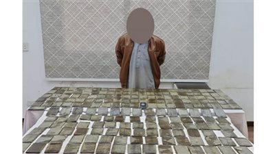 تفاصيل سقوط إمبراطوريات الكيف في ضربة أمنية حاسمة بالقاهرة