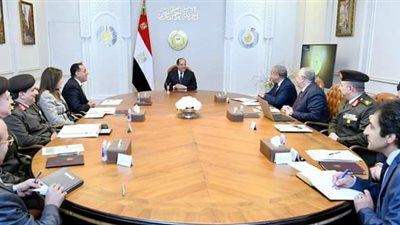 تعرف على أبرز توجيهات الرئيس السيسي للحكومة بشأن توريد القمح