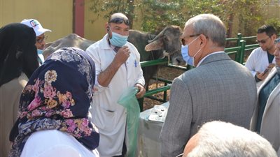 محافظ القليوبية يتفقد القافلة الطبية لتحصين الماشية بقرية شبلنجة ببنها (صور)