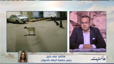 رئيس جمعية الرفق بالحيوان: وفاة طبيبة حدائق الأهرام ليست بسبب الكلاب الضالة 