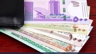 سعر الدولار والعملات الأجنبية في السودان اليوم السبت 14 يناير 2023