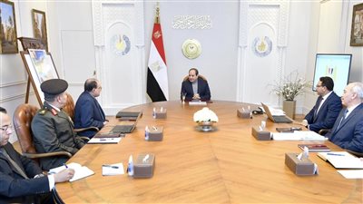 عاجل.. السيسي يصدر توجيهات جديدة بشأن سيناء