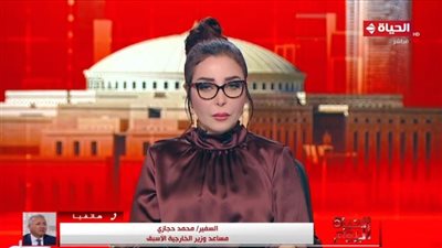 دبلوماسي سابق: زيارة وزير خارجية الصين لمصر شديدة الحساسية