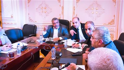 برلماني: الرئيس السيسي يبذل المستحيل لتوطين الصناعة ويطالب بالعمل والإنتاج