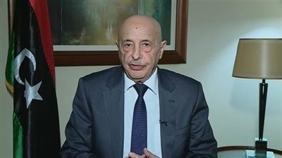 عقيلة صالح: تهجير فلسطيني واحد مرفوض رفضا قاطعا وندعو الجميع لرفع أصواتهم ضد ذلك