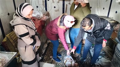 احالة 62 محضرا بالمخالفات التموينية للنيابة العامة في الدقهلية 