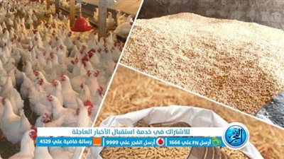  أسعار أعلاف الدواجن اليوم الأربعاء 18 يناير 2023