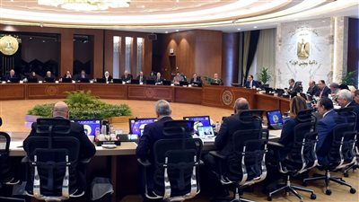 رئيس الوزراء يستعرض نتائج زيارته إلى محافظة شمال سيناء ويشيد بالمشروعات الخدمية والتنموية