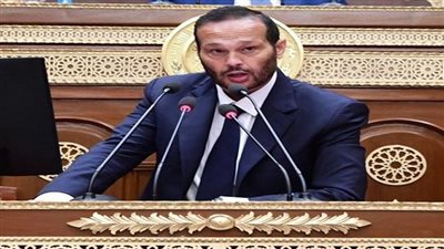 حلاوة: مشاركة الرئيس السيسى بقمة أبوظبى تعكس حرص مصر على تعزيز العمل العربى المشترك