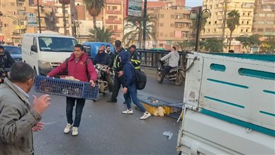 مرور المنوفية يتدخل لرفع اقفاص دجاج ساقطة اعلي كوبري مبارك تتسبب فى تعطل حركة السيارات