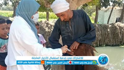 انطلاق الحملة القومية لتحصين الماشية ضد مرض الجلد العقدي وجدري الأغنام بالفيوم غدا