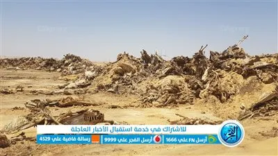 للمرة الثالثة.. العثور على مقبرة للحمير بشلالات وادي الريان بالفيوم