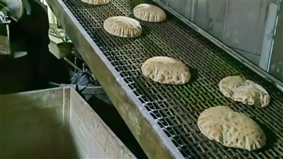 تحرير 99 محضرا لمخالفات تموينية في مراكز الدقهلية 