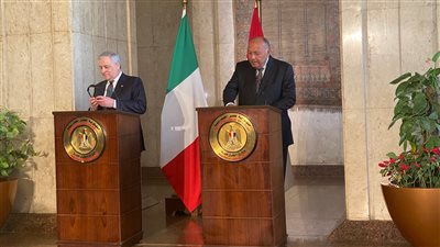 خبير: شراكة متنوعة تربط مصر وإيطاليا في كافة الملفات 