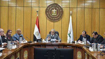 عاجل.. وزير القوى العاملة: توجيهات رئاسية بشأن دمج ذوي الإعاقة في سوق العمل 