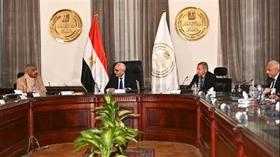 هشام طلعت يطرح إطلاق اسم 