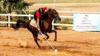 اليوم.. إنطلاق التصفيات النهائية المؤهلة لبطولة كأس العالم لالتقاط الأوتاد بمنافسات الرمح