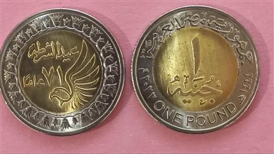 عاجل| المالية: سك عملات معدنية بقيمة 3 مليون جنيه بمناسبة عيد الشرطة 