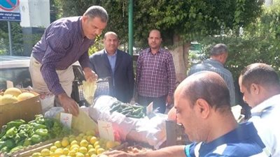 بتخفيضات 40%.. الزراعة تطلق 22 منفذا متنقلا للسلع الغذائية بالمنوفية (فيديو)