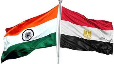 خبير: العلاقات المصرية الهندية لها خصوصية حقيقية