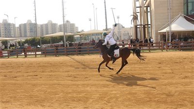 اليوم.. ختام التصفيات المؤهلة لكأس العالم.. ومنتخبنا والسعودية الأقرب للتأهل.. وحطب يكرم ضيوف مصر