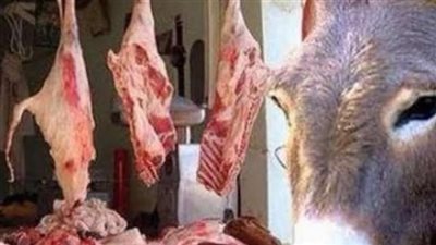 بعد العثور على 100 حمار مذبوح.. محافظ الفيوم يوجه بتفقد مطاعم الكباب (فيديو)