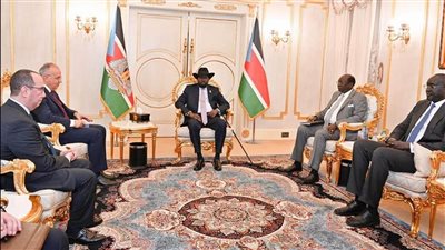 وزير الري: مصر تحرص على اهتمام جنوب السودان لتنضم لقائمة المشروعات التنموية المشتركة