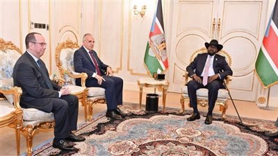 وزير الري: مصر مستعدة لتكون مركزا إفريقيا للتدريب في مجال التكيف مع تغير المناخ