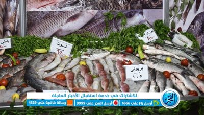 أسعار الأسماك بأسواق العبور ومعارض 