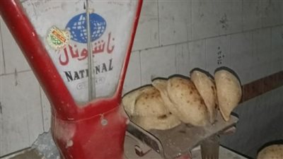 محافظ المنوفية: تحرير (153) محضر تمويني خلال حملات تفتيشية بنطاق المحافظة