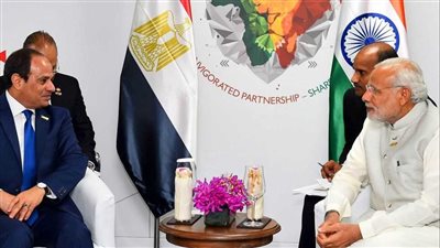 دبلوماسي سابق بعد زيارات السيسي: 