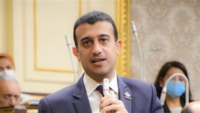 البرلمان: سيناء خط أحمر.. والميادين المصرية قالت كلمتها (فيديو)