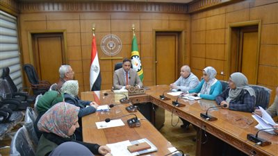 تفاصيل اجتماع محافظ الدقهلية لترفيق عدة مناطق بالمنصورة