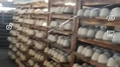 ضبط 19 طن بروتين لبن بها خطر داهم خلال حملة لمراقبة الأغذية بالدقهلية