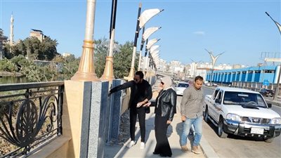 تطوير وتجميل كورنيش طريق المنصورة /أجا في الدقهلية.. صور 