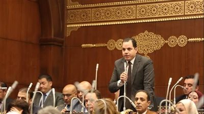 برلماني: يطالب بإطلاق استراتيجية لزيادة الحوافز الاستثمارية 