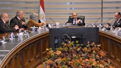 وزير الطيران يؤكد على أهمية دور القطاع الخاص في النقل الجوى المصرى