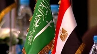 أستاذ علاقات دولية: مصر والسعودية هما المدافعتان عن كل القضايا العربية (فيديو)