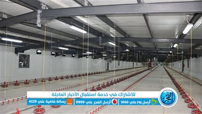 محافظ الفيوم يوجه بالتسويق الجيد وفتح منافذ بيع لمنتجات مشروع الدواجن 