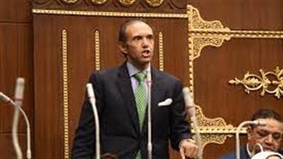 وكيل تضامن النواب: العنف الأسري ليس ظاهرة وإنما ممارسة لا يجب السكوت عنها 